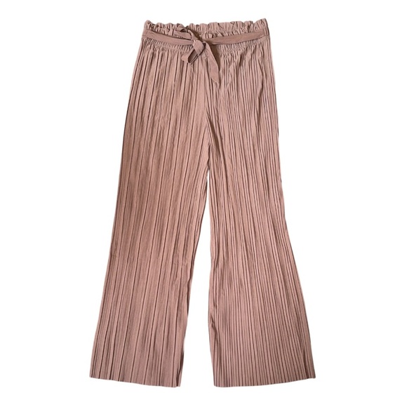 Bloom Seasons Pleated Wide-Leg Pants with Belt | 3X - Picture 1 of 2